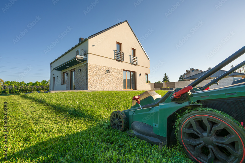 Partially cut grass on the house back garden with wooden shed in the background