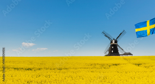 Windmühle in Schweden mit Schwedischer Flagge vor einem Rapsfeld