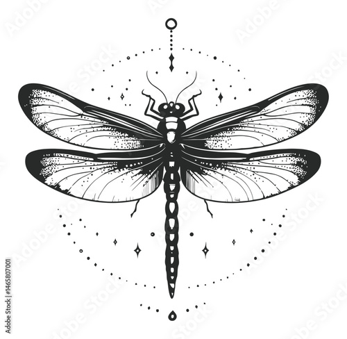 Detailed Vector Illustration of a Dragonfly with Intricate Design Elements