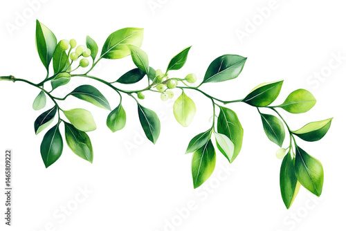 Plakat w ramie Mistletoe sprig featuring classic paired leaf pattern.