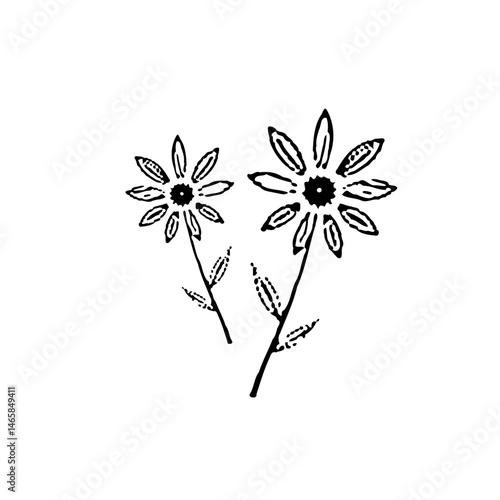 Minimalist Floral Duo: Black and White Botanical Illustration with Delicate Details