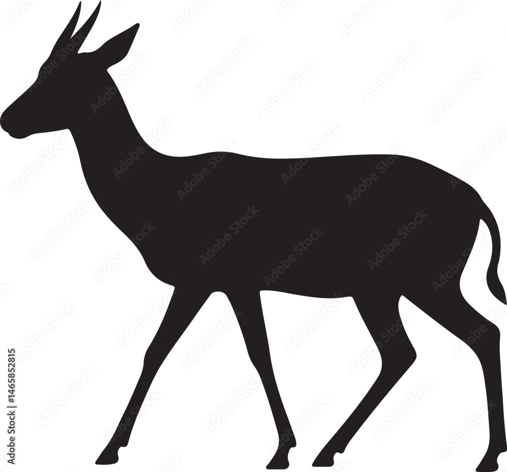 Fototapeta premium Lechwe Silhouette