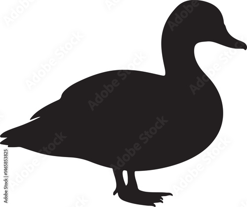 Shelduck Silhouette
