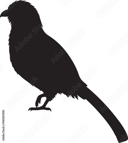 Trogon Silhouette