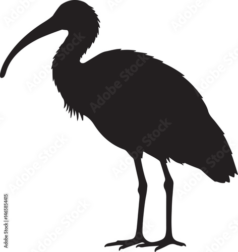 White-Shouldered Ibis Silhouette