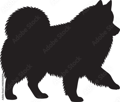 American Eskimo Dog Vector Silhouette