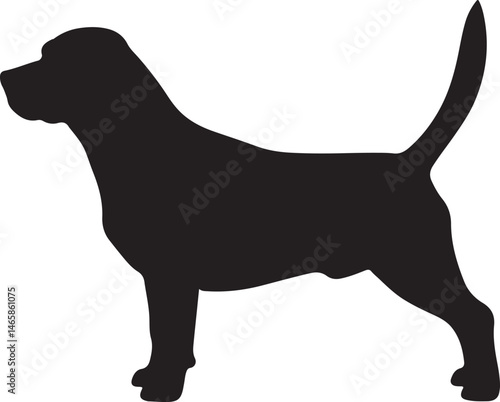Beagle Vector Silhouette