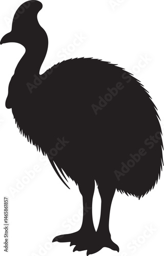Cassowary Bird Vector Silhouette