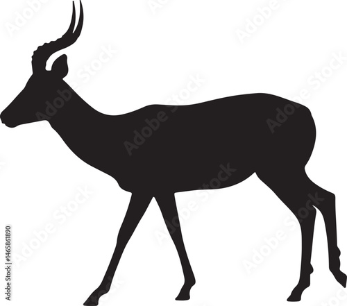 silhouette of a deer