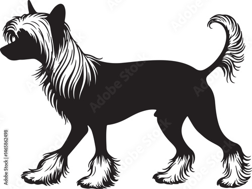 Chinese Crested Dog Vector Silhouette