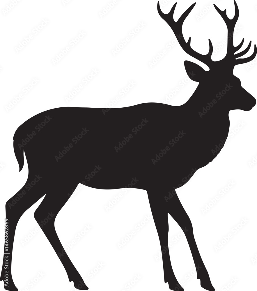 Fototapeta premium Deer Vector Silhouette