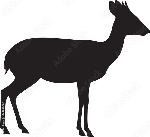 Dik-Dik Vector Silhouette