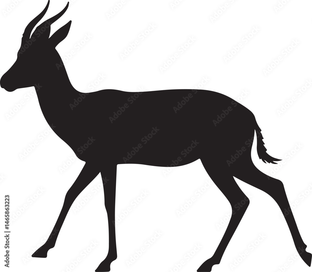 Fototapeta premium Dorcas Gazelle Vector Silhouette