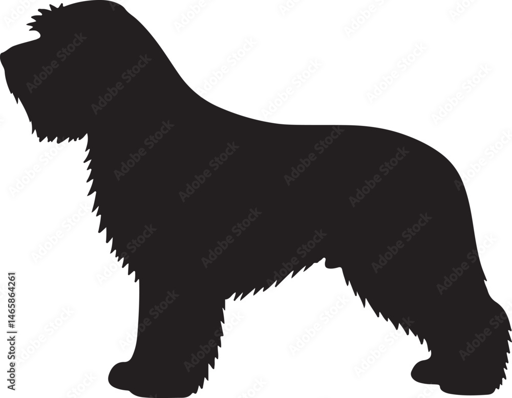 Epagneul Picard Vector Silhouette Epagneul Picard Vector Silhouette