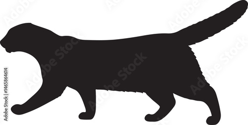 Fisher Cat Vector Silhouette