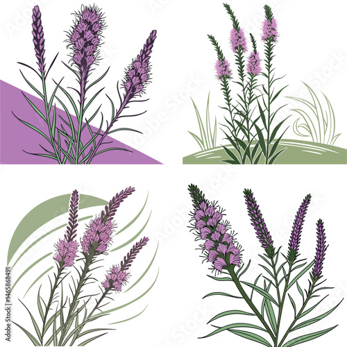 A blazing star flower icon with tall, spiky purple blooms.