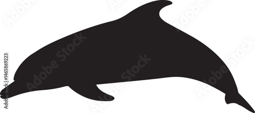 Indian Ocean Bottlenose Dolphin Vector Silhouette