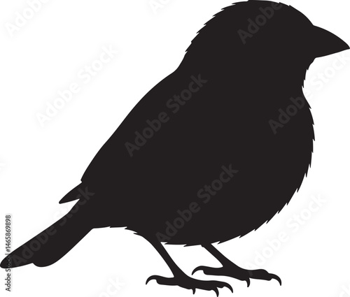 Indigo Bunting Vector Silhouette