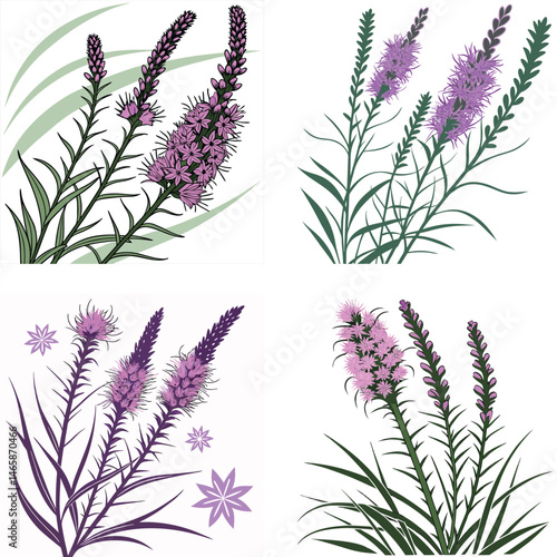 A blazing star flower icon with tall, spiky purple blooms.