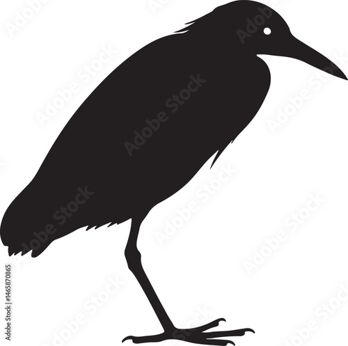 Javan Pond Heron Vector Silhouette