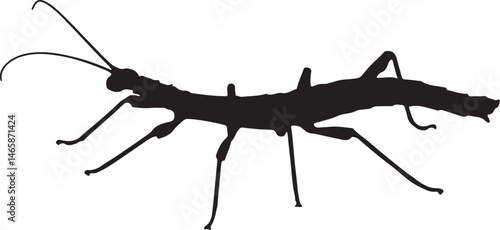 Jungle Nymph Vector Silhouette