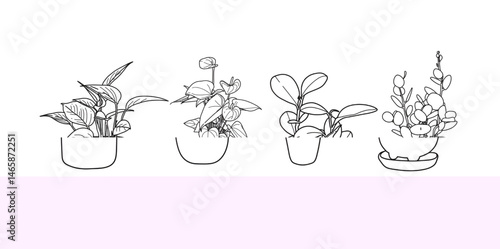 set of icons of flowers in vases and ornamental plants in vases, wedding decoration, special day greeting cards for couples. friendly nature card concept.