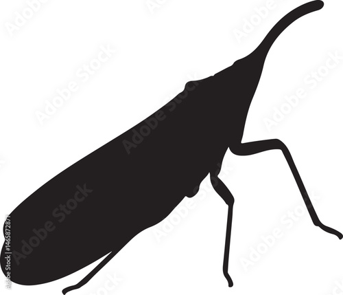 Lantern Bug Vector Silhouette
