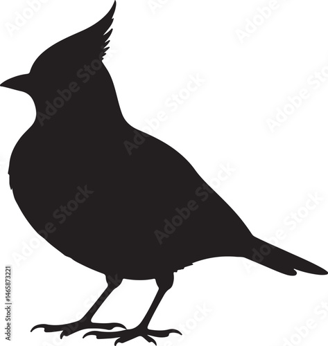 Lark Vector Silhouette