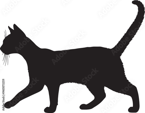 Obraz na plátně LaPerm Cat Vector Silhouette