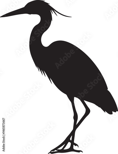Lava Heron Vector Silhouette