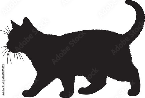 Foto Manx Cat Vector Silhouette