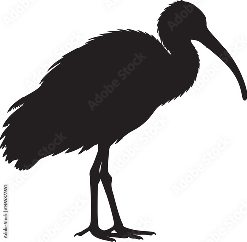 Nipponia (Crested Ibis) Vector Silhouette