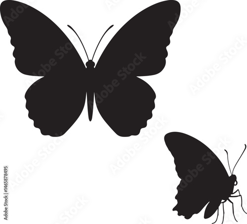 Onyx Butterfly Vector Silhouette