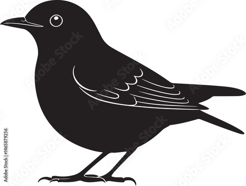 Orange-headed Thrush Vector Silhouette