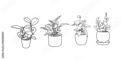 : set of ornamental plant icons, ornamental plant illustrations. hand drawn ornamental plants, wedding decorations, special day greeting cards for plants.