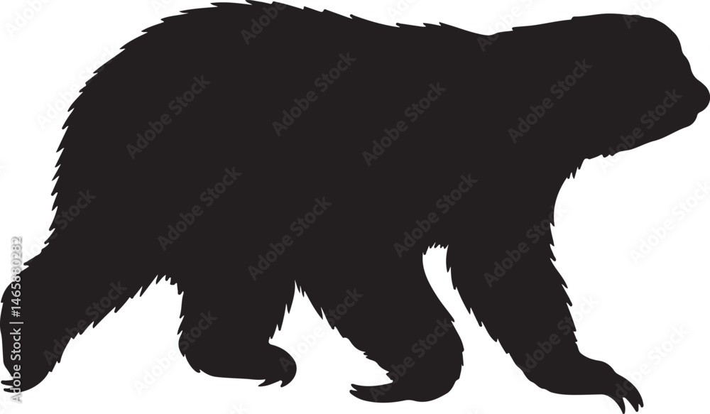 Obraz premium Pale-throated Sloth Vector Silhouette