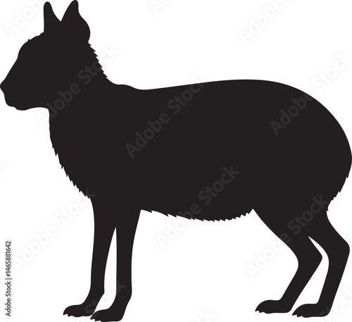 Foto Patagonian Mara Vector Silhouette
