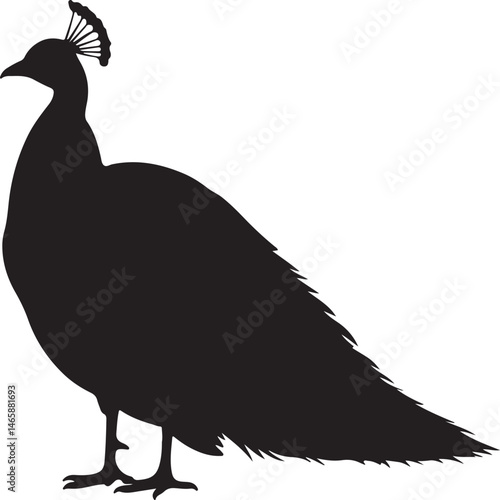 Peacock Vector Silhouette