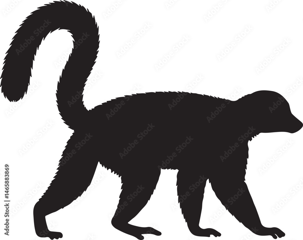 Obraz premium Red-bellied Piranha Vector Silhouette