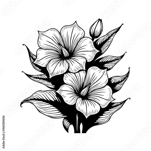 Elegant floral illustration, detailed petals and leaves botanical composition