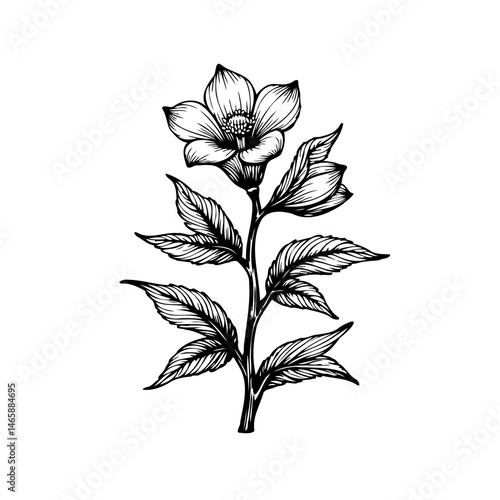 Botanical elegance: Exquisite line art illustration of a blooming plant, a floral symphony
