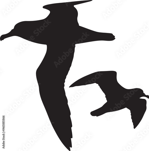 Shearwater Vector Silhouette