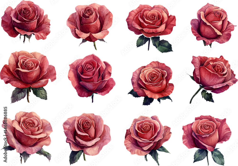 set of red roses set of red roses