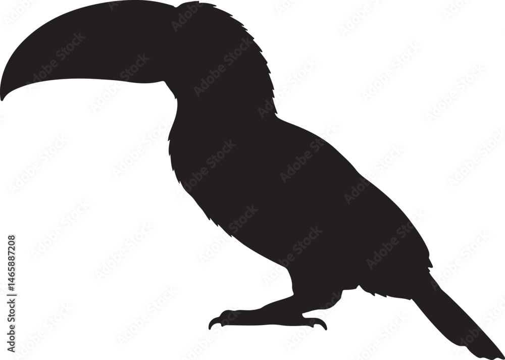 Obraz premium Toucan Vector Silhouette