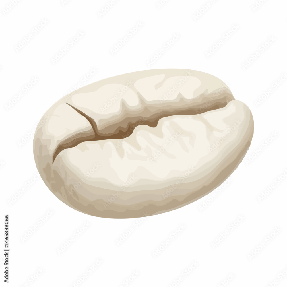Raw Coffee Bean Vector Illustration. Vector Image Raw Coffee Bean Vector Illustration. Vector Image