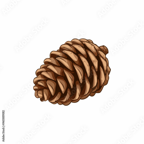 Pine Cone Vector Illustration. Vector Image