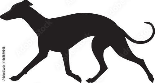 Whippet Vector Silhouette
