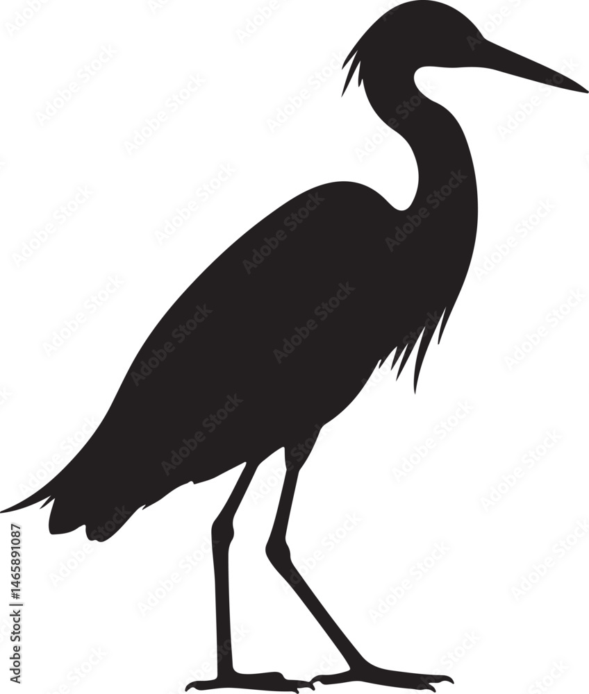 Obraz premium White-Faced Heron Vector Silhouette