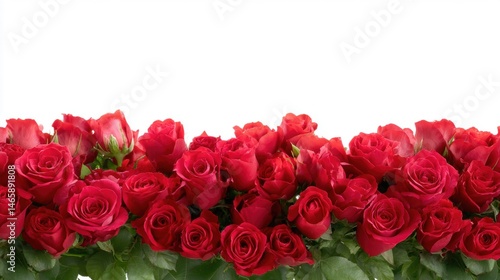 Obraz na płótnie Vibrant red roses arranged beautifully, showcasing their lush petals and green foliage in a striking display. w salonie