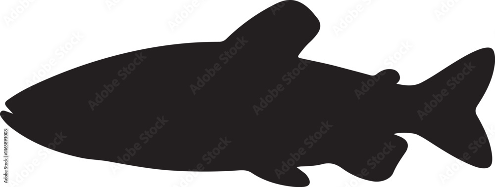 Obraz premium Xenopoecilus Vector Silhouette